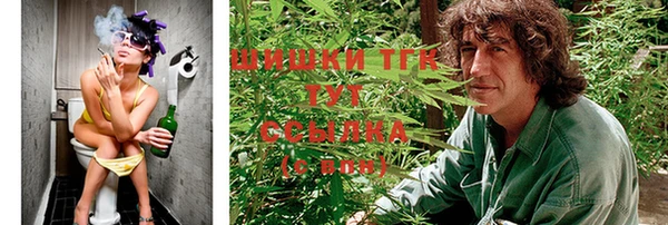 гидропоника Алзамай