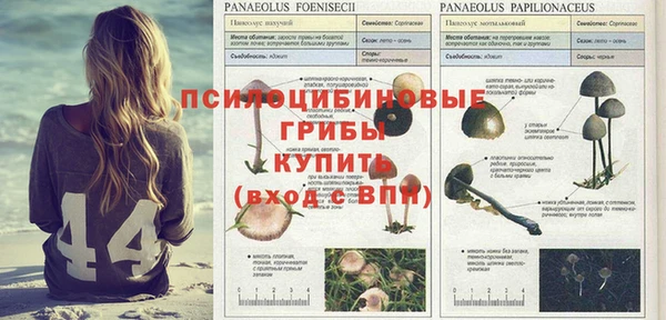jwh Нея