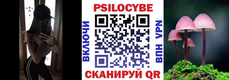 Галлюциногенные грибы мухоморы площадка как зайти Тара omg как войти